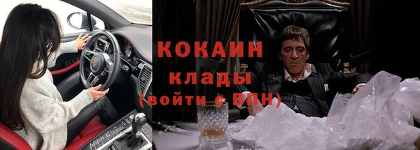 дмт Инсар