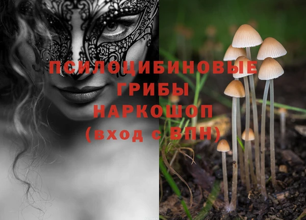 наркотики Инта