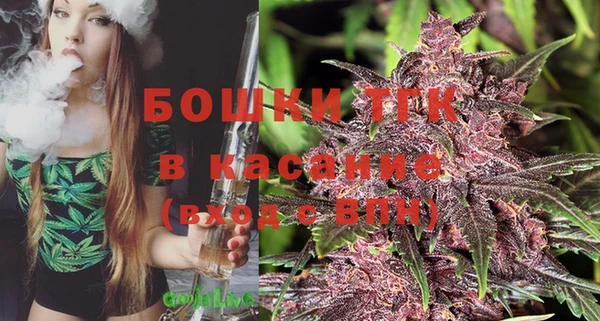 дмт Инсар