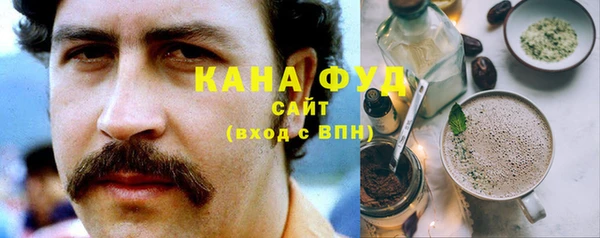 дмт Инсар