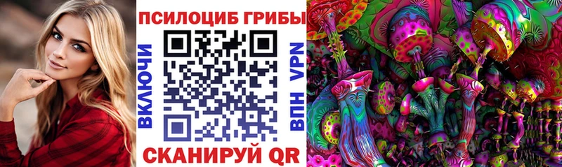 Купить где  Гдов  Галлюциногенные грибы MAGIC MUSHROOMS 